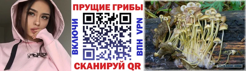 Псилоцибиновые грибы MAGIC MUSHROOMS  KRAKEN рабочий сайт  Коряжма 